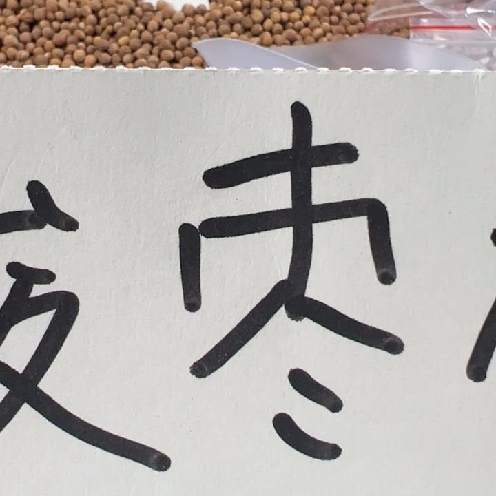 凤眼菩提吊坠聊天专用链接勿拍