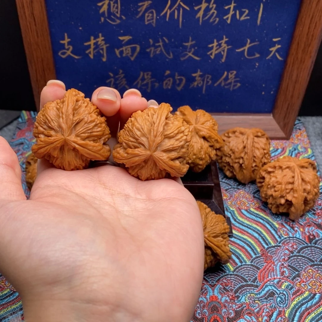 【闪购商品】赵*鑫白狮