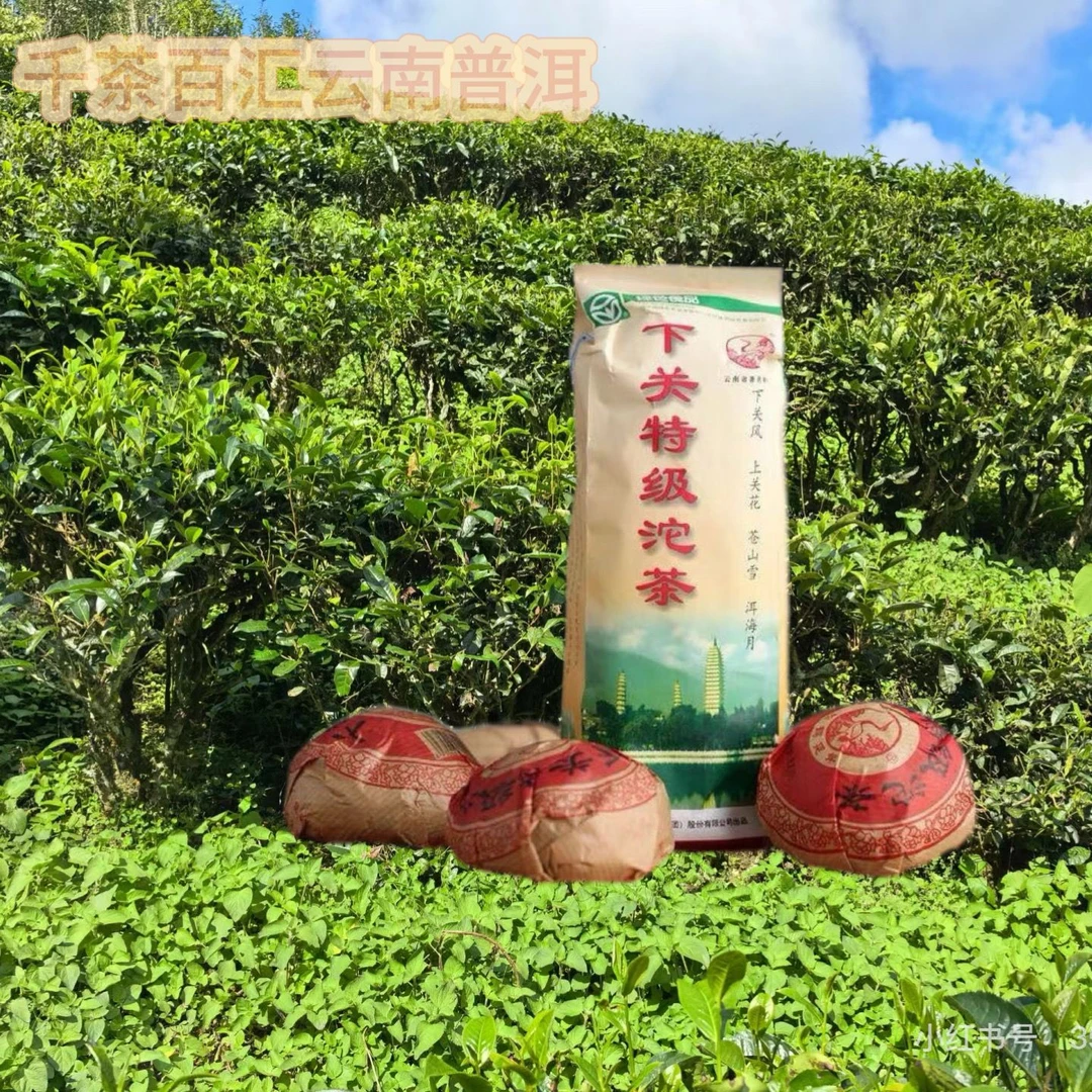 【童掌柜】2009年云南下关特级沱茶生茶陈年老生茶云南普洱茶 Z