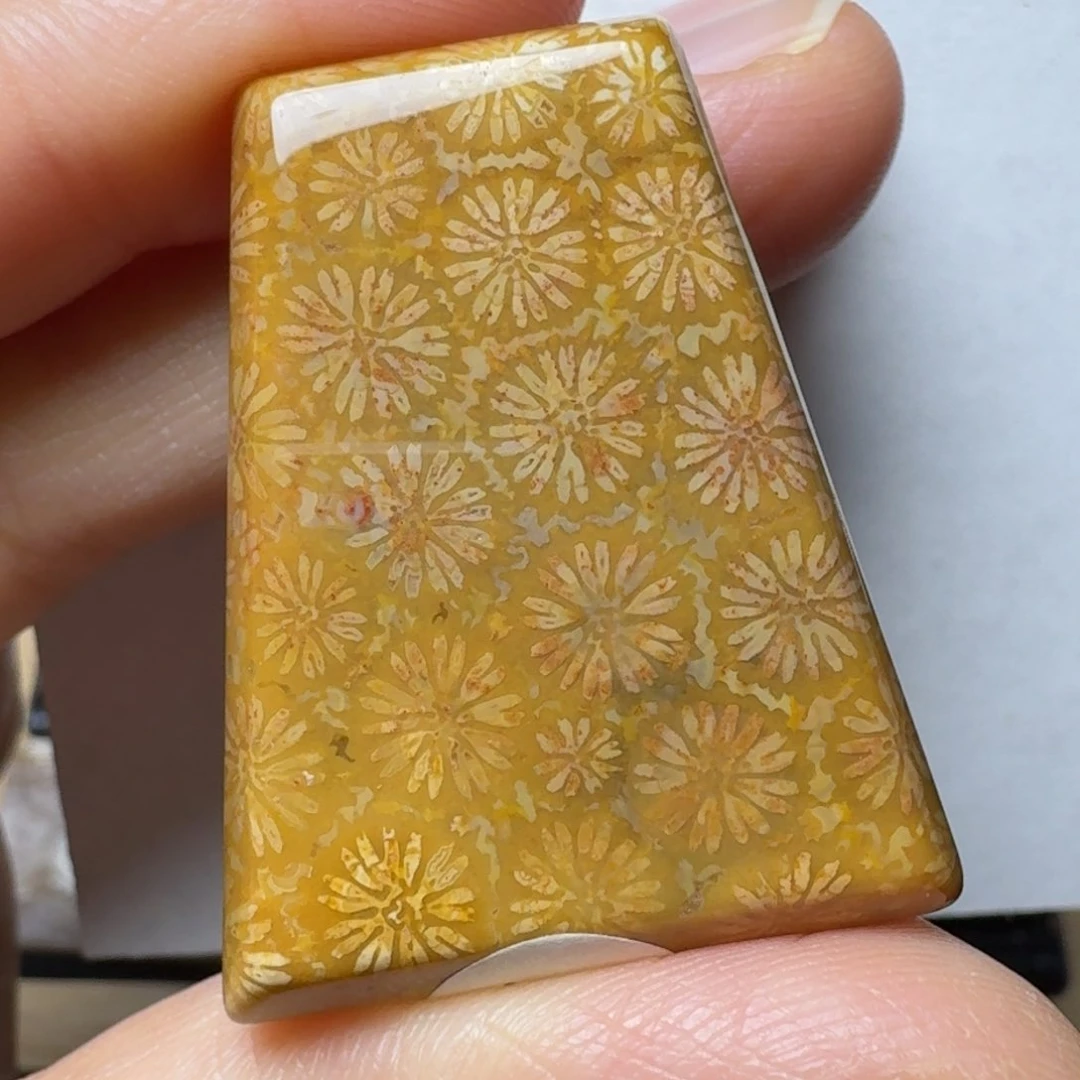 硅化玉飘彩的清晰花花未镶嵌