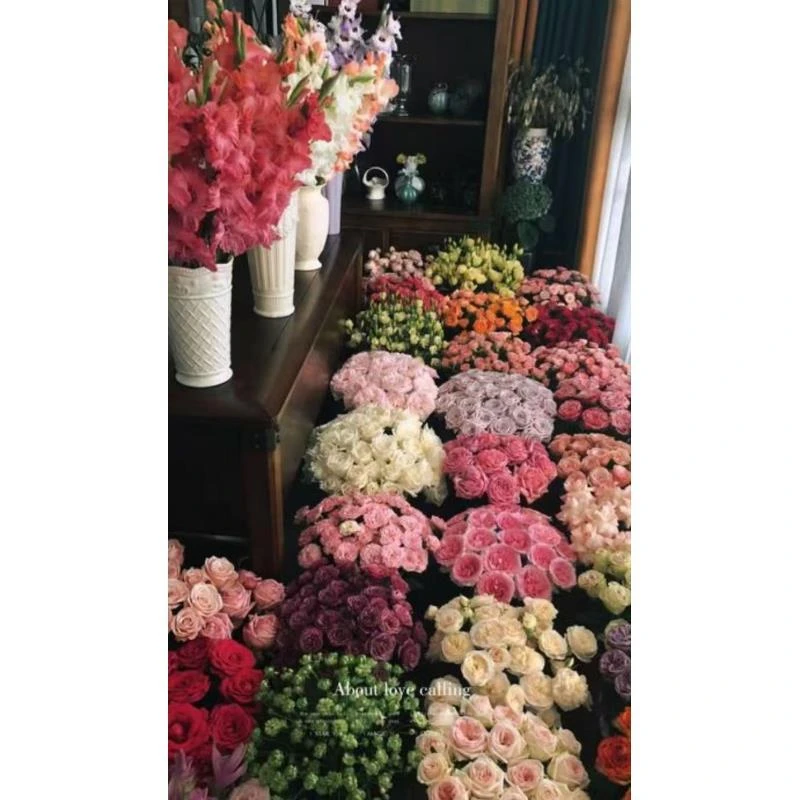 【鲜花自选合集1】玫瑰鲜切花昆明直发-