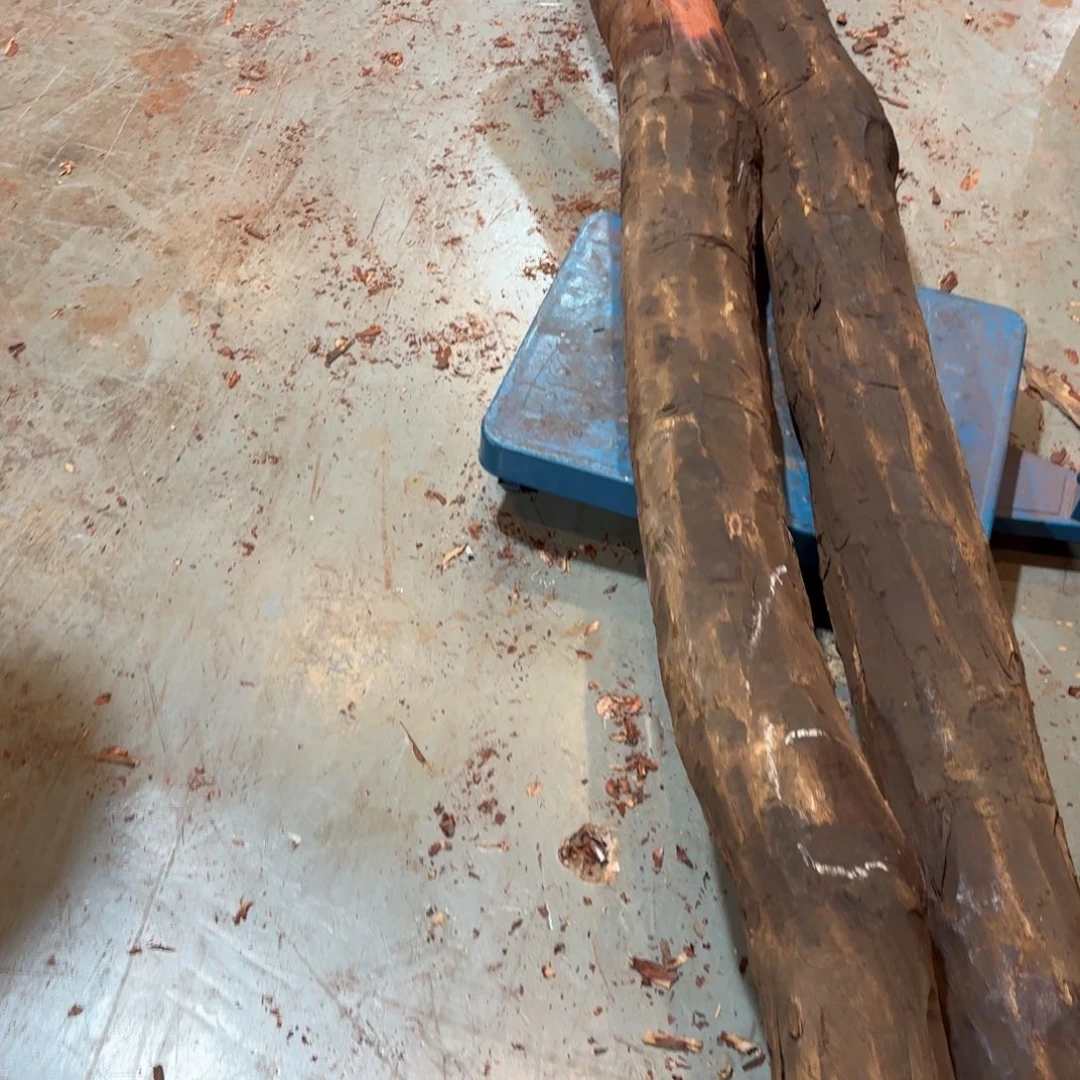 黑***豹一物一拍血檀编码687