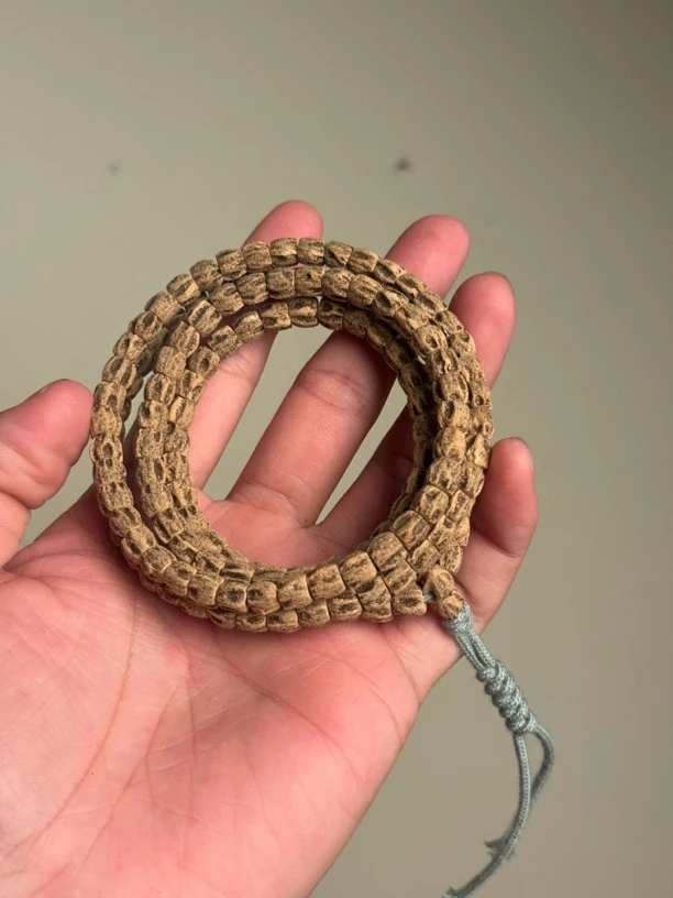 热振柏香籽高工筒顺鬼