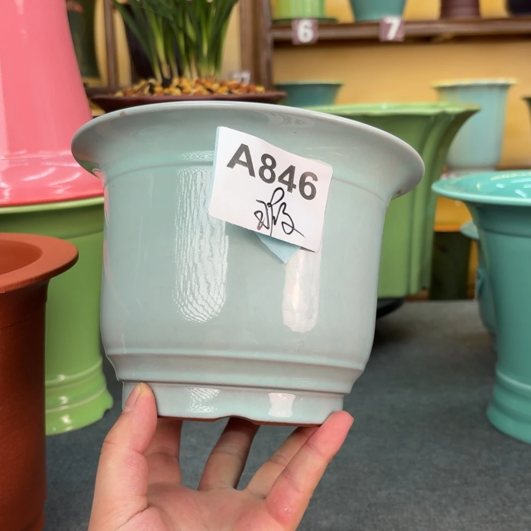 紫砂花盆兰花42555啊哭哭哭吐