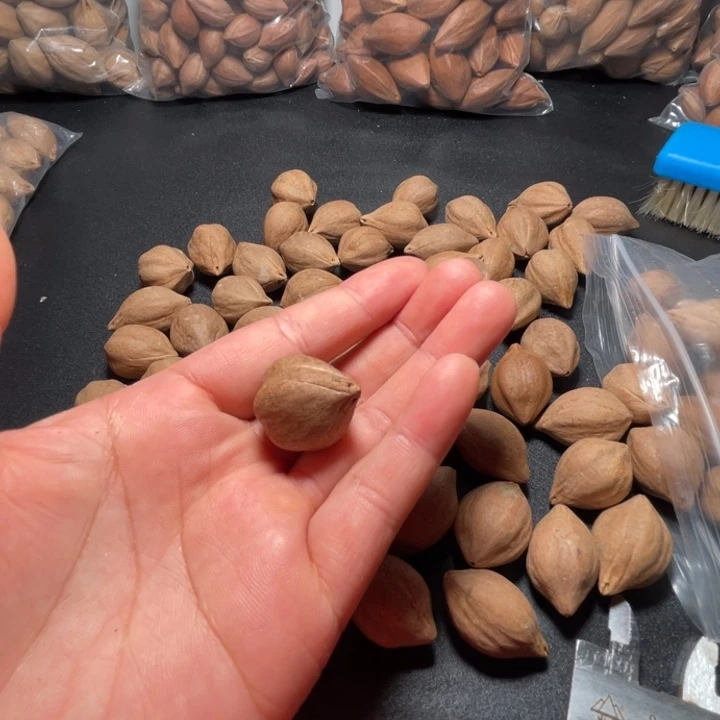 ****了手串/手链猪牙我是