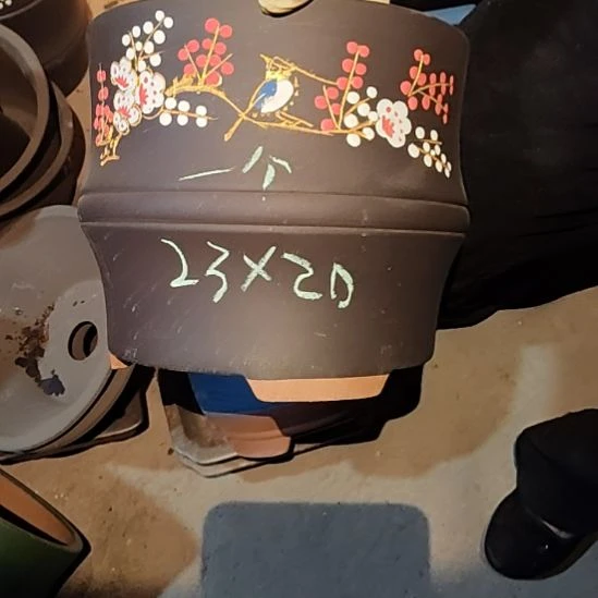 宜兴紫砂花盆清清楚了吗，