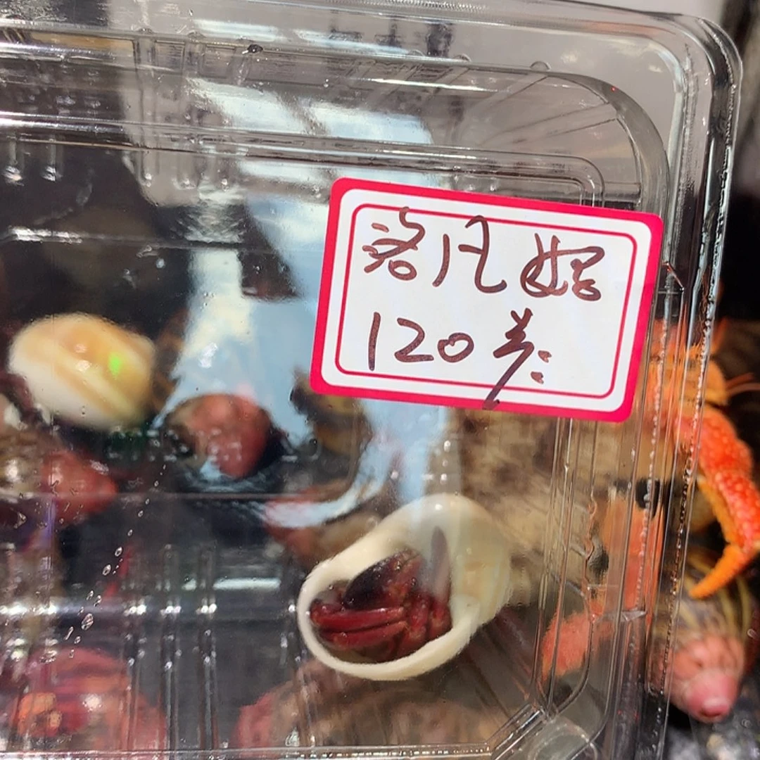 洛凡妈妈专拍奔跑