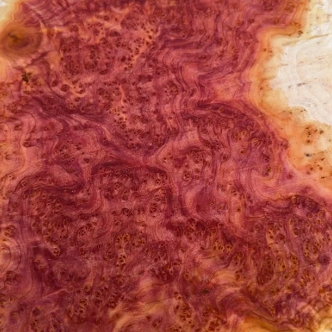 木h*哥订制2.0一条精挑