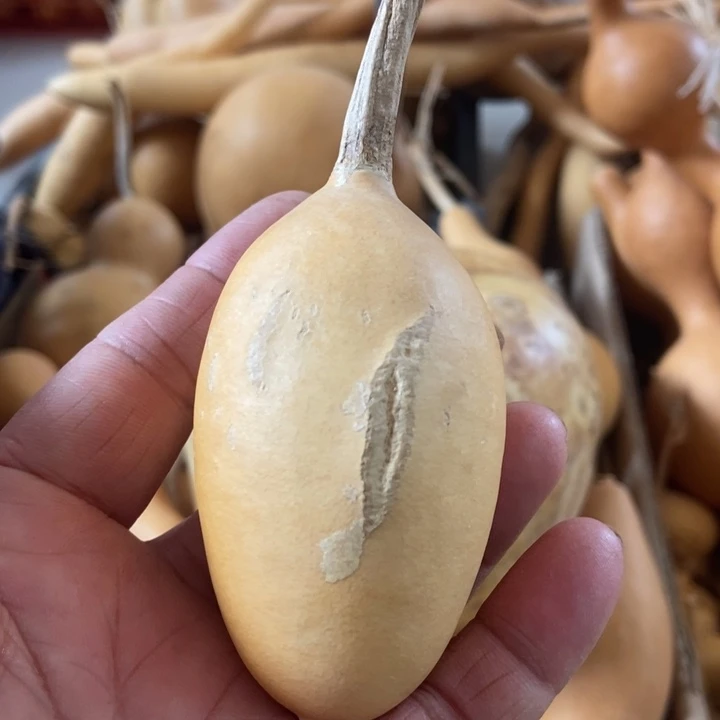 运****行usvxbsjsidhxhehss