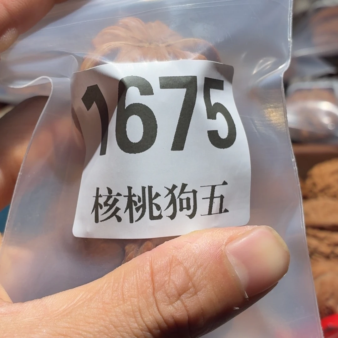 C***c核桃1675山地白狮子