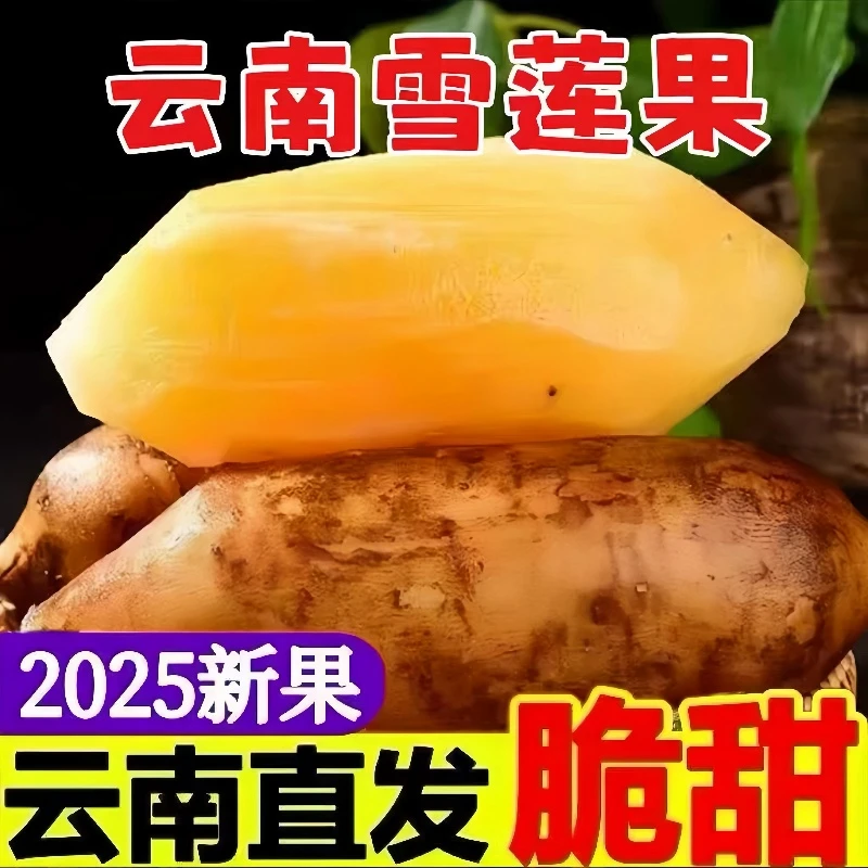 【头茬】25年云南天山雪莲果现挖脆甜多汁新鲜水果低糖低卡高山