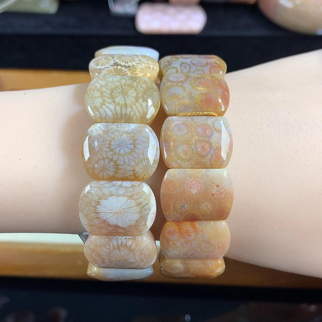 吊坠(赠链)未镶嵌硅化珊瑚（珊瑚玉）13号