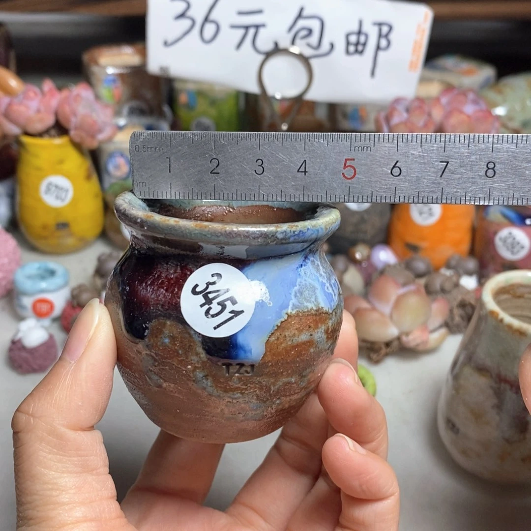 拍5送一个小礼物