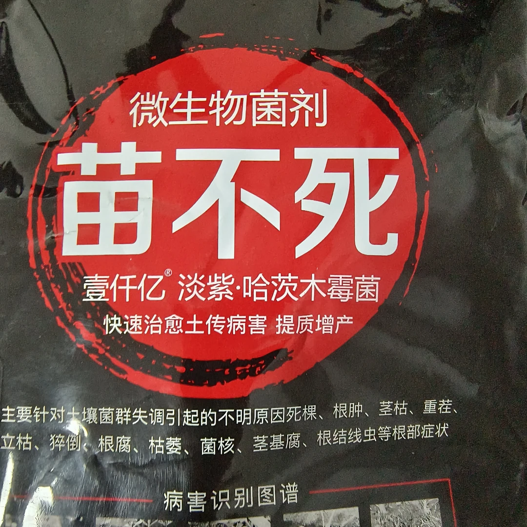 苗不死根腐营养肥（全养部落定金）