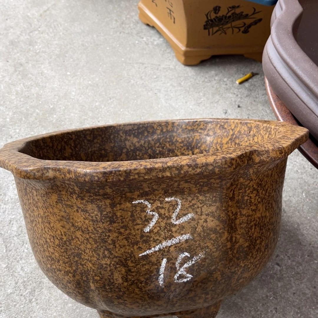 紫砂花盆盆景艺术