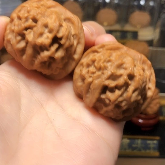 精品：天地狮子头