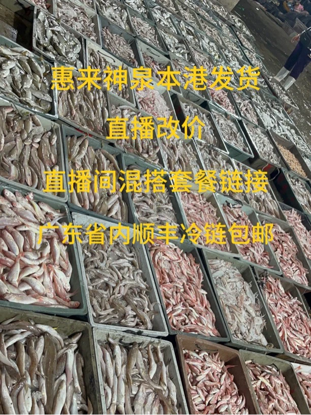 惠来神泉港野生海鱼 直播间现搭套餐专用链接 套餐以直播间为准