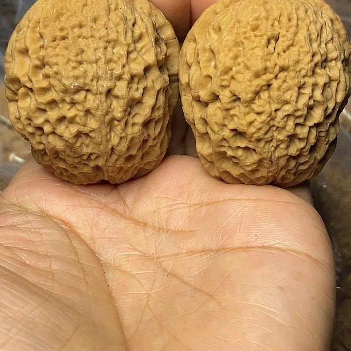 文玩核桃把件云南铁核桃75