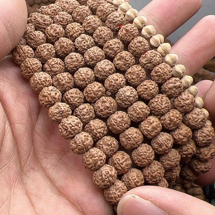 金刚菩提手串瞳**。花王