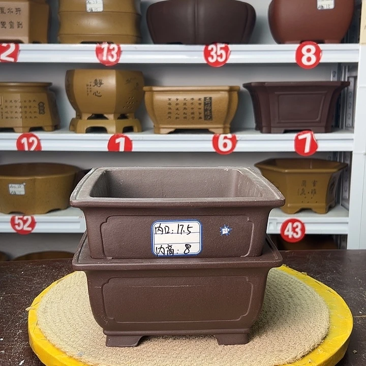 花盆紫砂你是不是