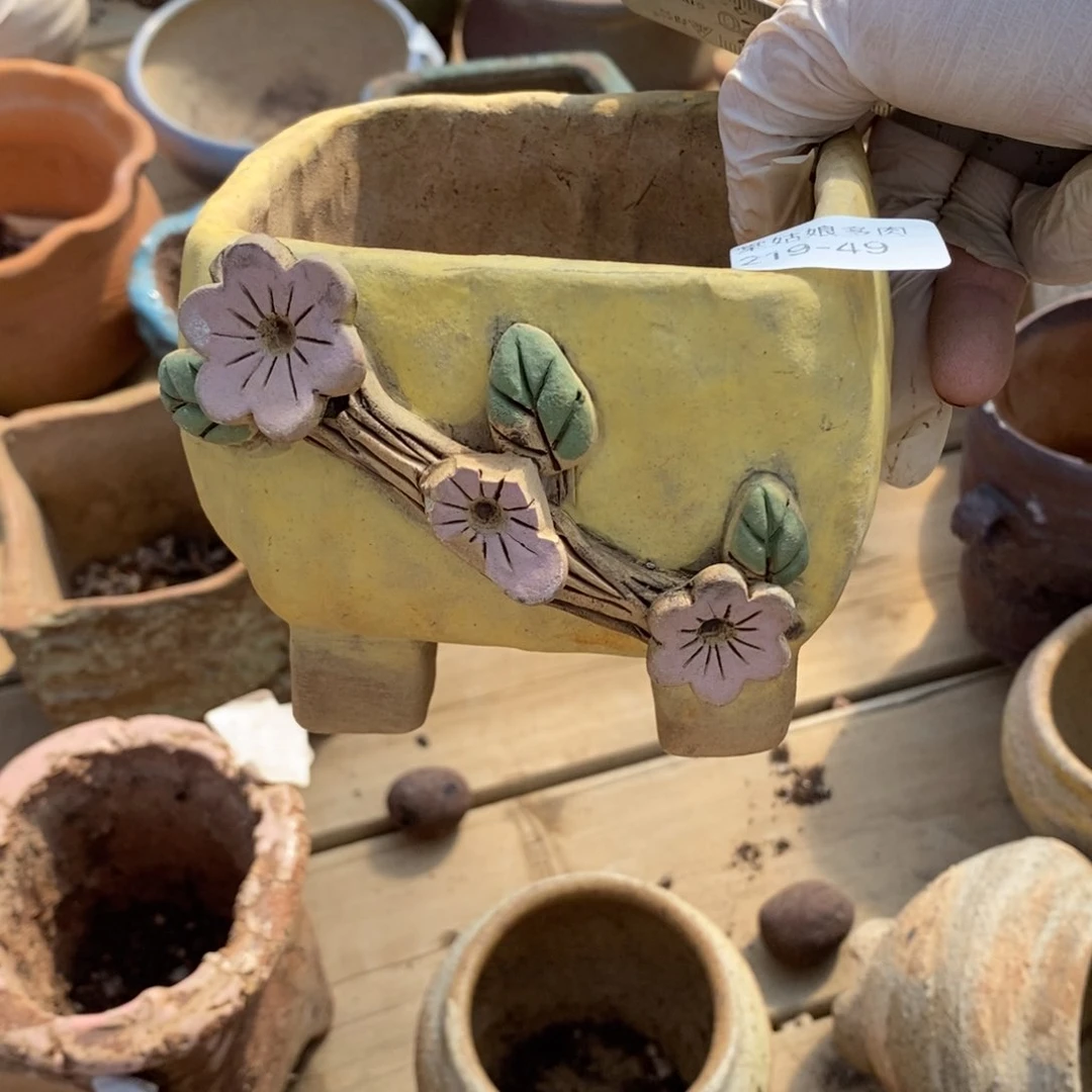 红陶谁****钱49号多肉盆瑕疵