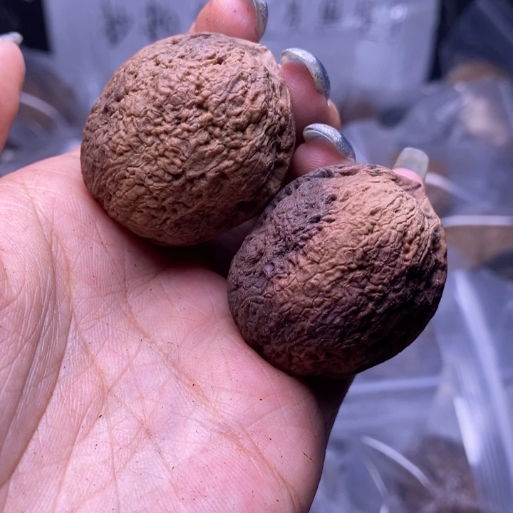 把件文玩核桃云南野生铁核桃63号34mm