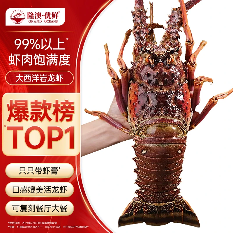 【特大号】大西洋岩龙虾2.8-4斤（多规格可选） 年夜饭 家庭聚会