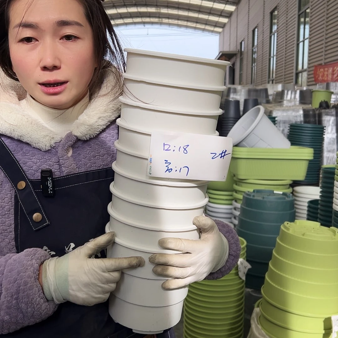 瑕疵多孔盆2#白色10个无托