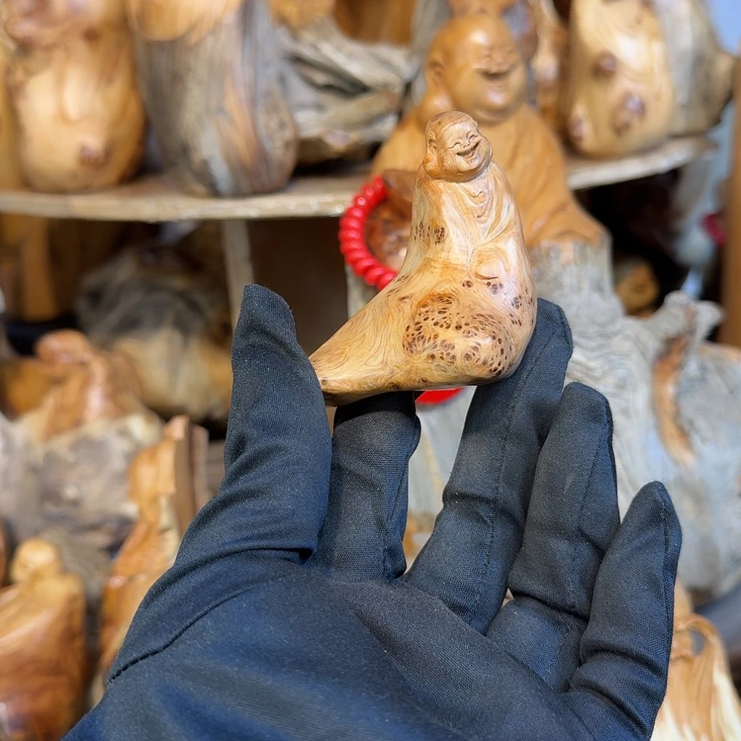 柏木（崖柏）666666666