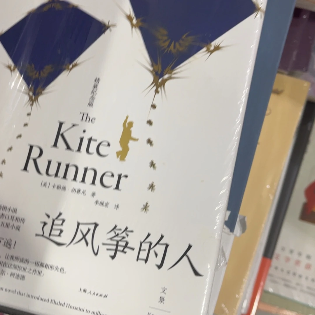 层***染追风筝的人精装一个