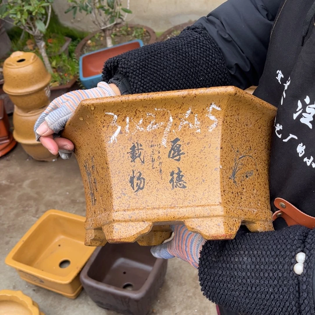 紫砂花盆盆景艺术