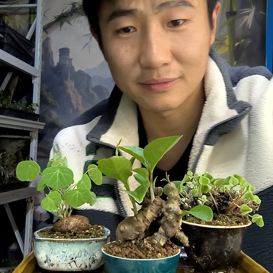 刘*?中青园艺一物一拍411