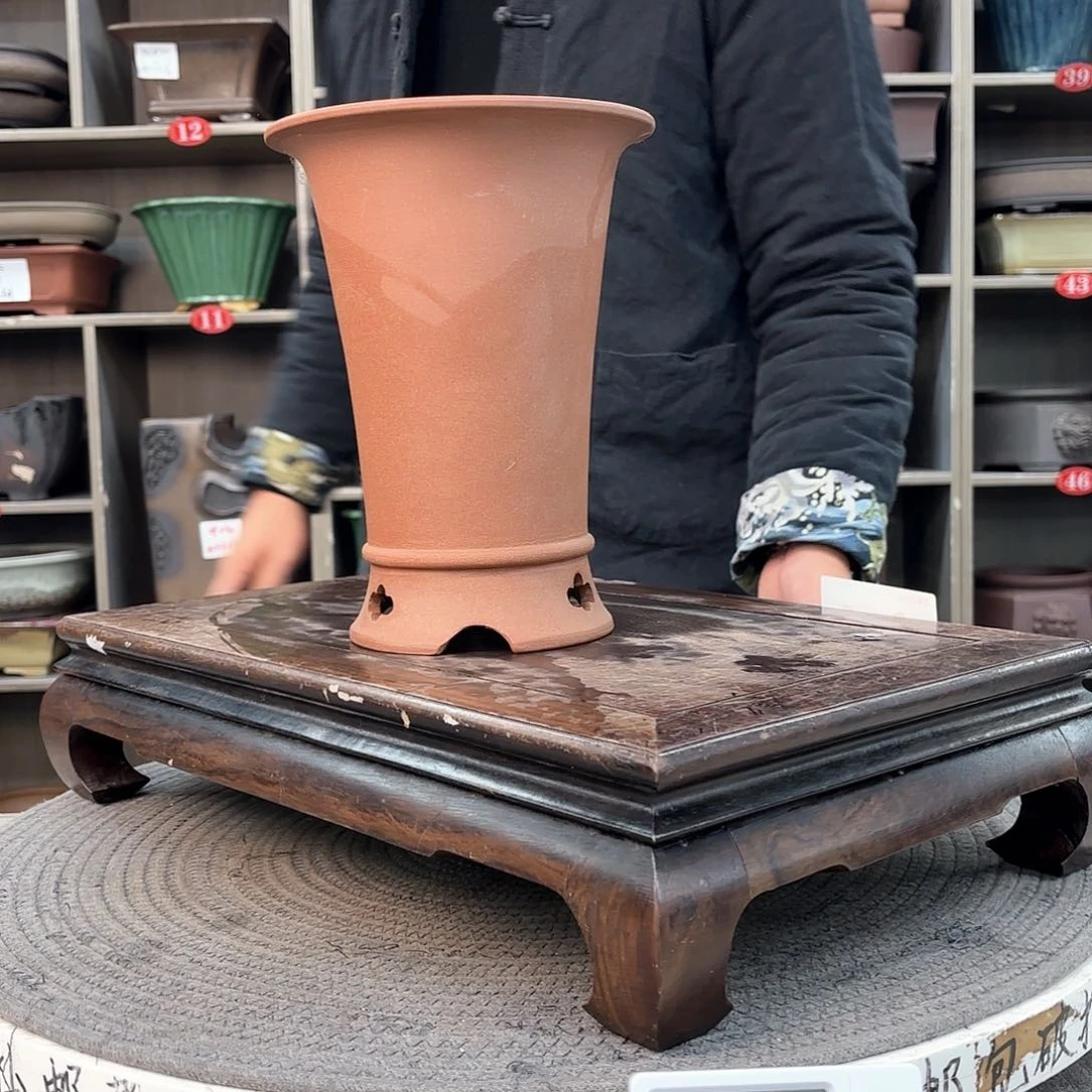 紫砂花盆油**梁紫砂的花也太