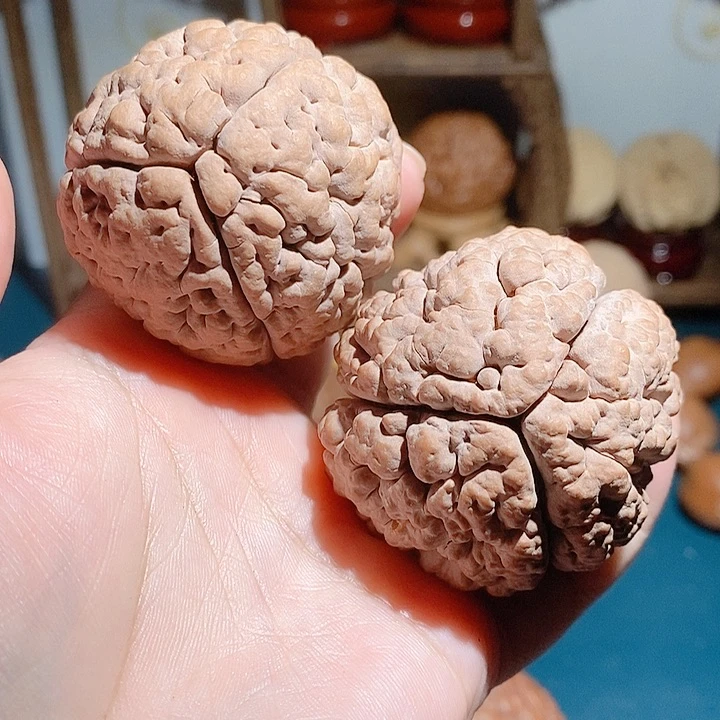 野生三瓣脑纹大金刚练手对