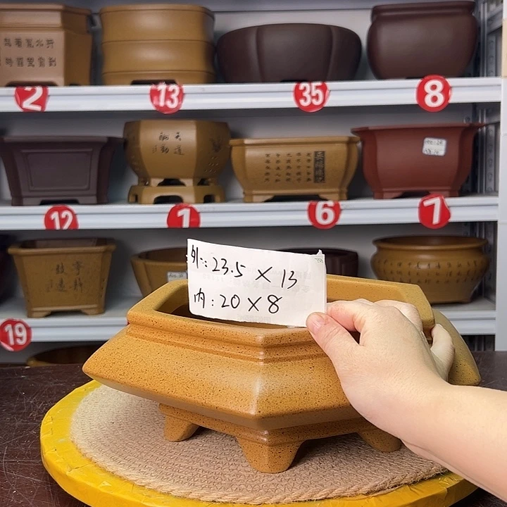 花盆紫砂蛇年大吉