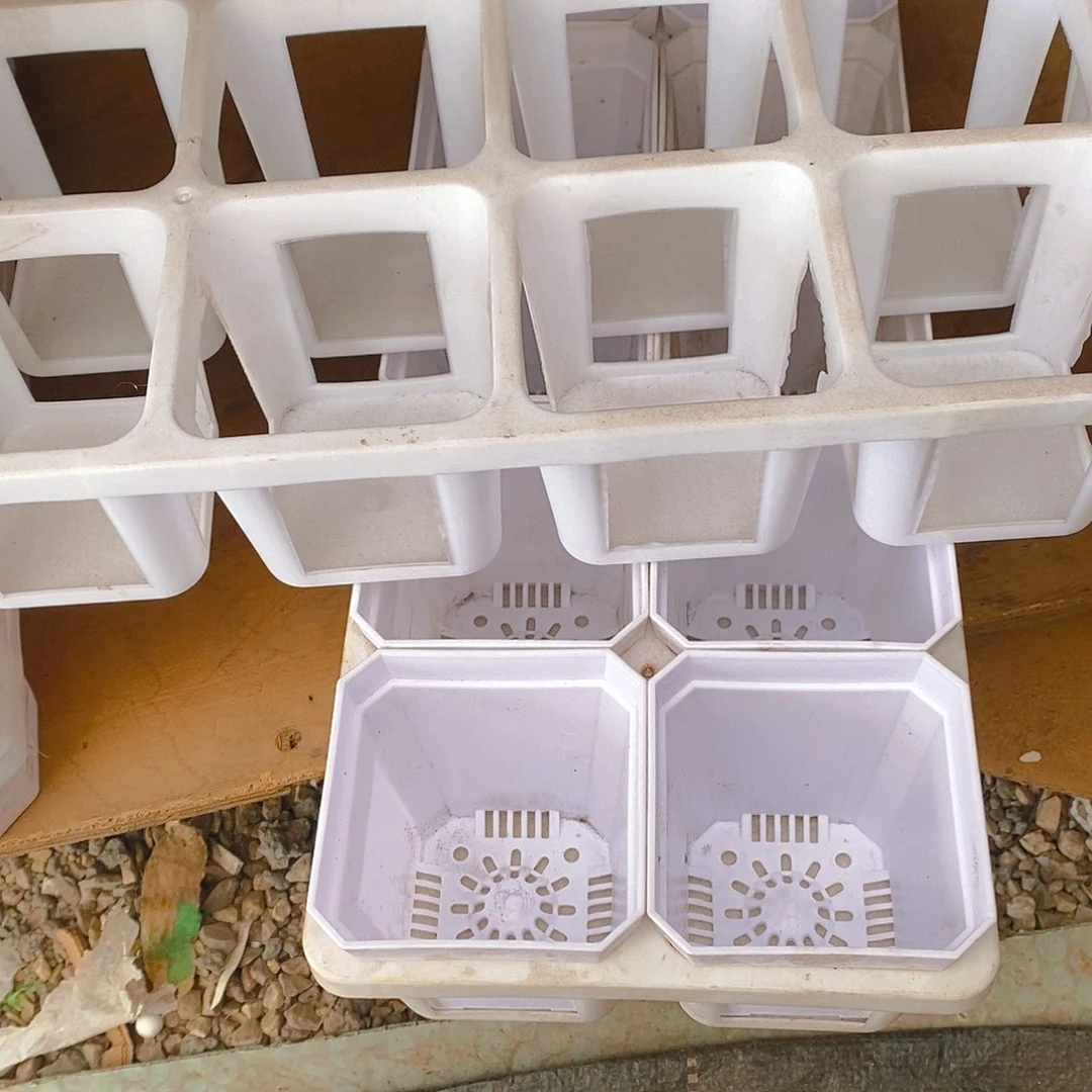 塑料新7公分白方盆加厚 带托架 10孔。2套