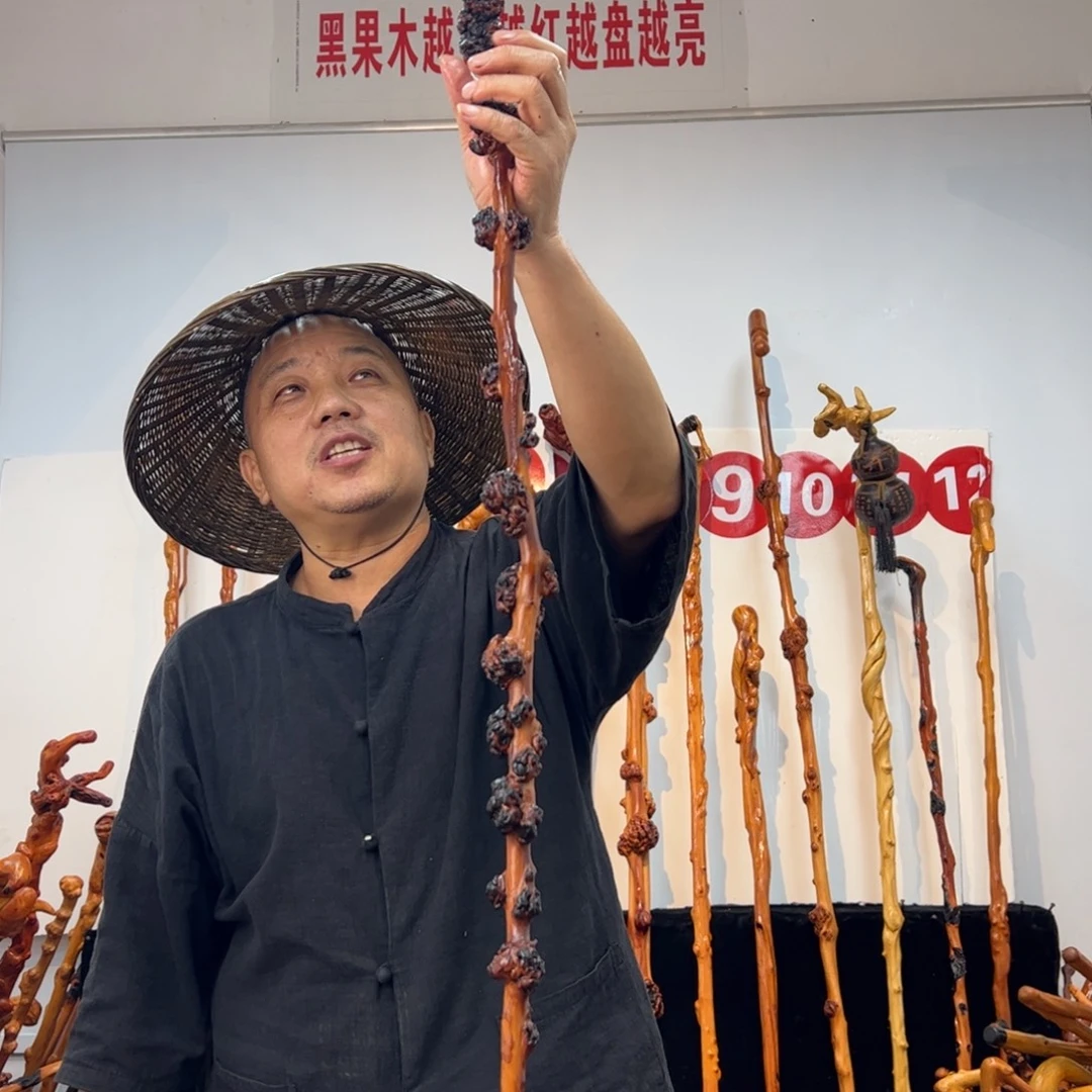 见***喜其他黑果木黑果木668