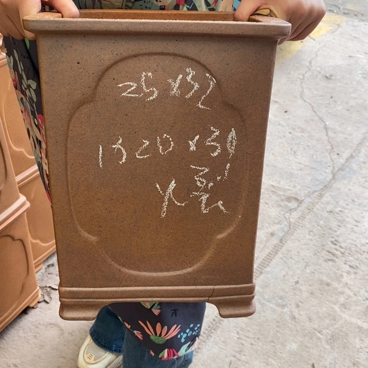 紫砂花盆只顾看手机和睡觉