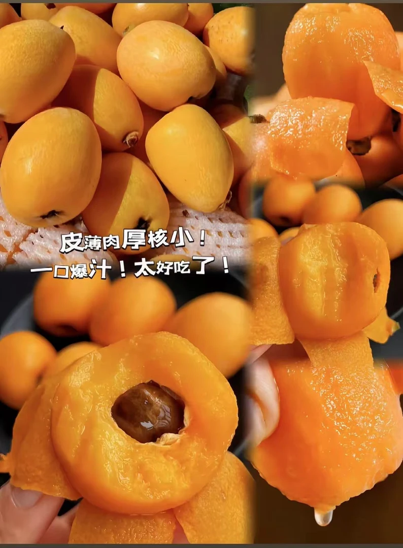 高原枇杷福利价让你们拿到手软