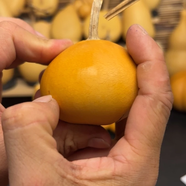 倒****靥55555669666666689999