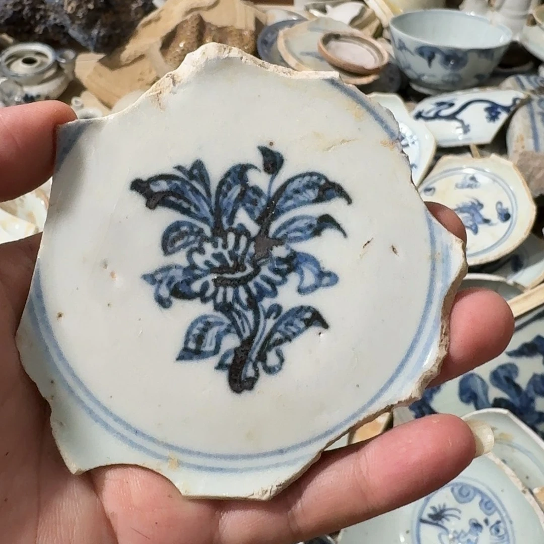 瓷片青花瓷片标本顺丰包邮
