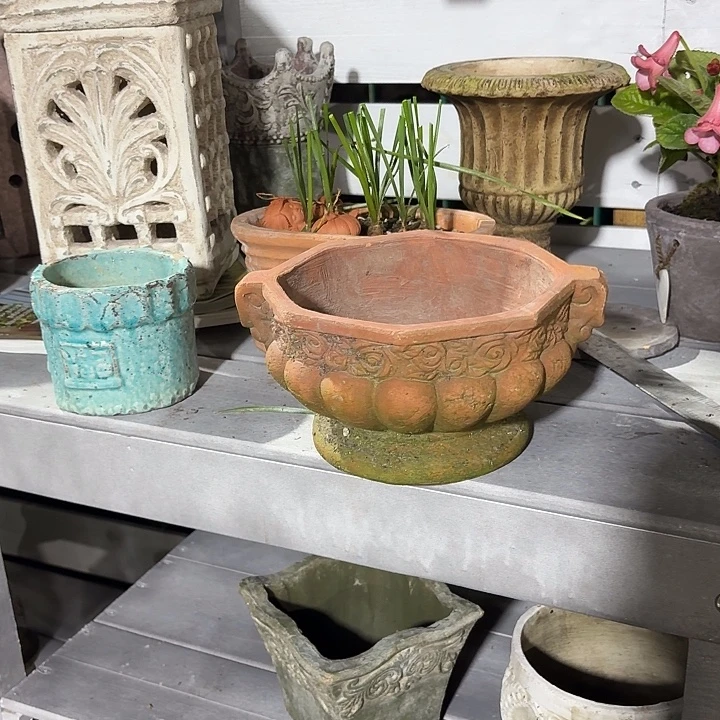 许纯的花房玫瑰奖杯 矮款 发新货