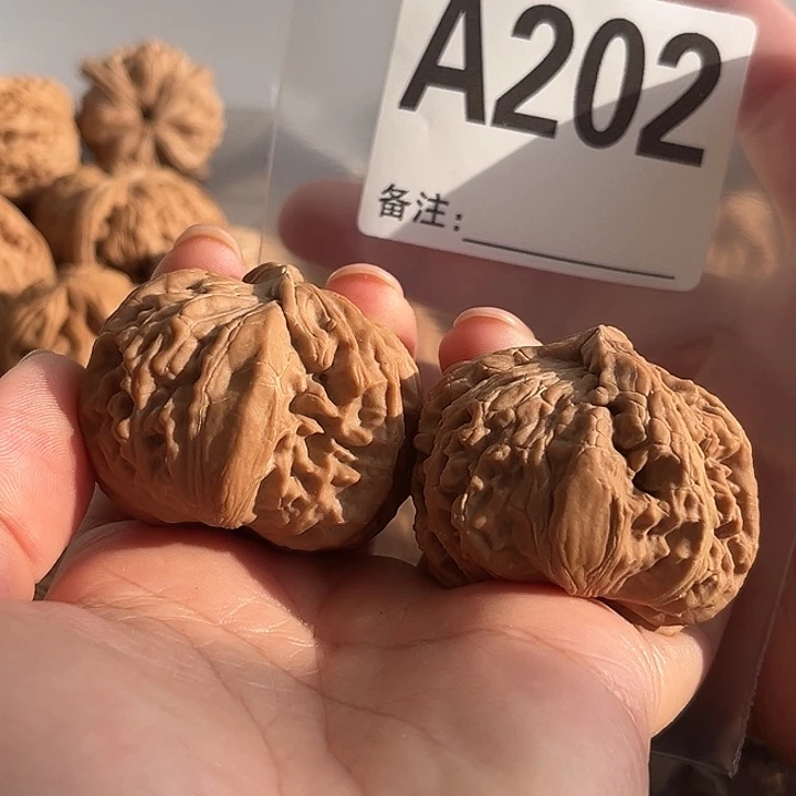 隼***叔把件文玩核桃白狮子角有虚尖修尖打底不退不换