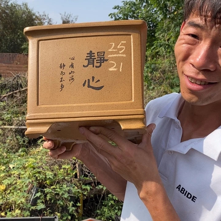 紫砂花盆没有人会觉得自己是一