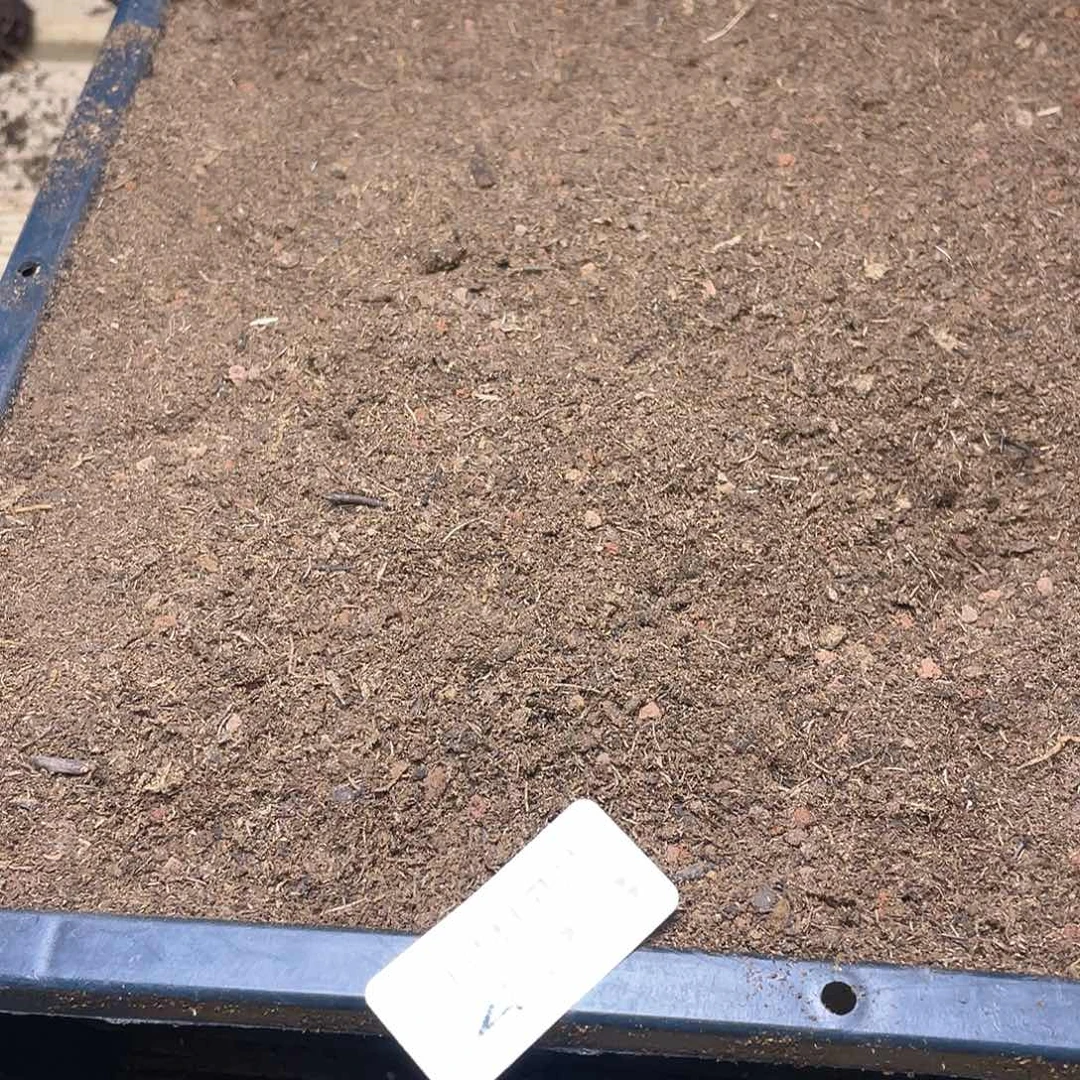 量拍多肉植物土一筐423