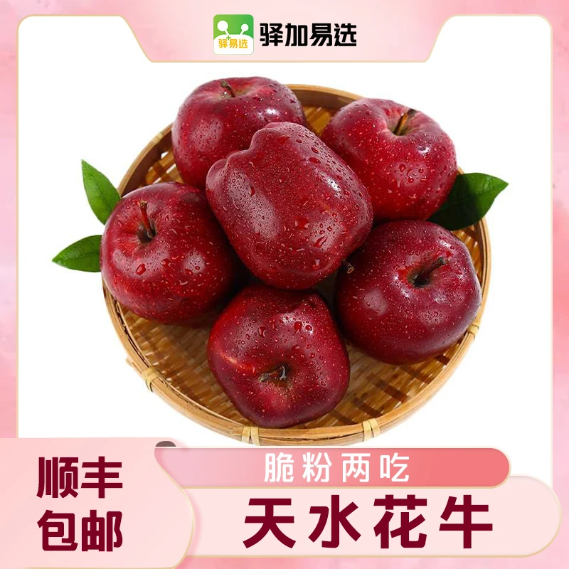 【甘肃天水花牛苹果】 鲜脆爽口 果香浓郁 果肉细腻 鲜甜多汁-龍爸