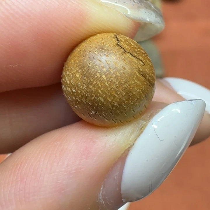 沉香碎屑沉香馨安居沉香888888