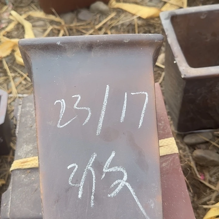 紫砂之光之日也很不错呢我们在