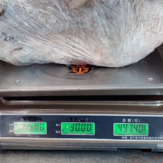 【闪购商品】冷冻保存30天包装河北省谭*