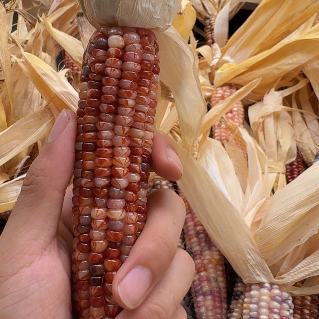 .***.柏香籽/百香籽吊坠